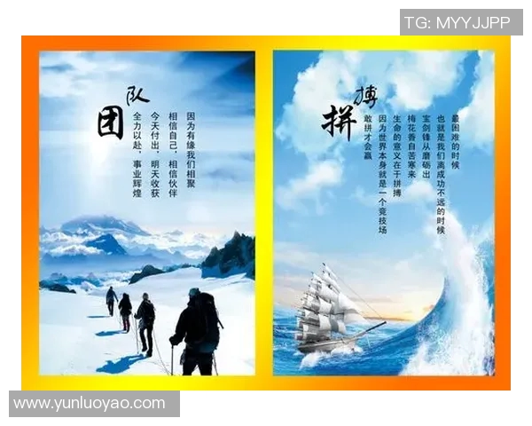 上海排球队逆袭之路联合会杯特别报道展现拼搏精神与团队力量