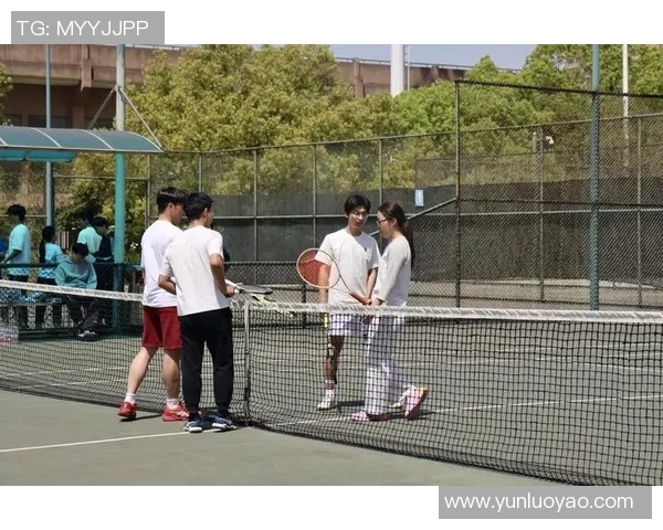 网球焦点：杭州网球队的团队协作探讨