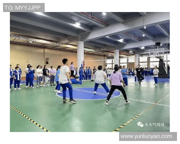 成都排球队的战术变革与技术提升深度解析