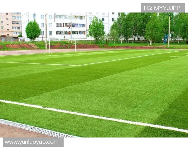 打造梦想绿茵场地开一家足球场助力社区足球发展与青少年成长