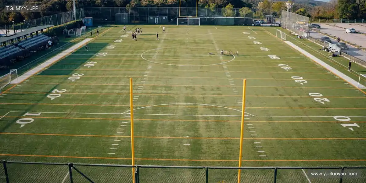 全球赛事，尽在掌握！🌍