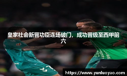 1xbet体育平台