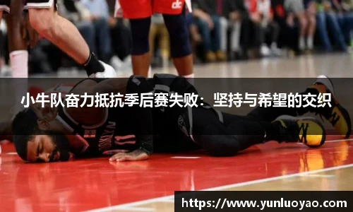 小牛队奋力抵抗季后赛失败：坚持与希望的交织