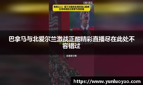 1xbet体育平台